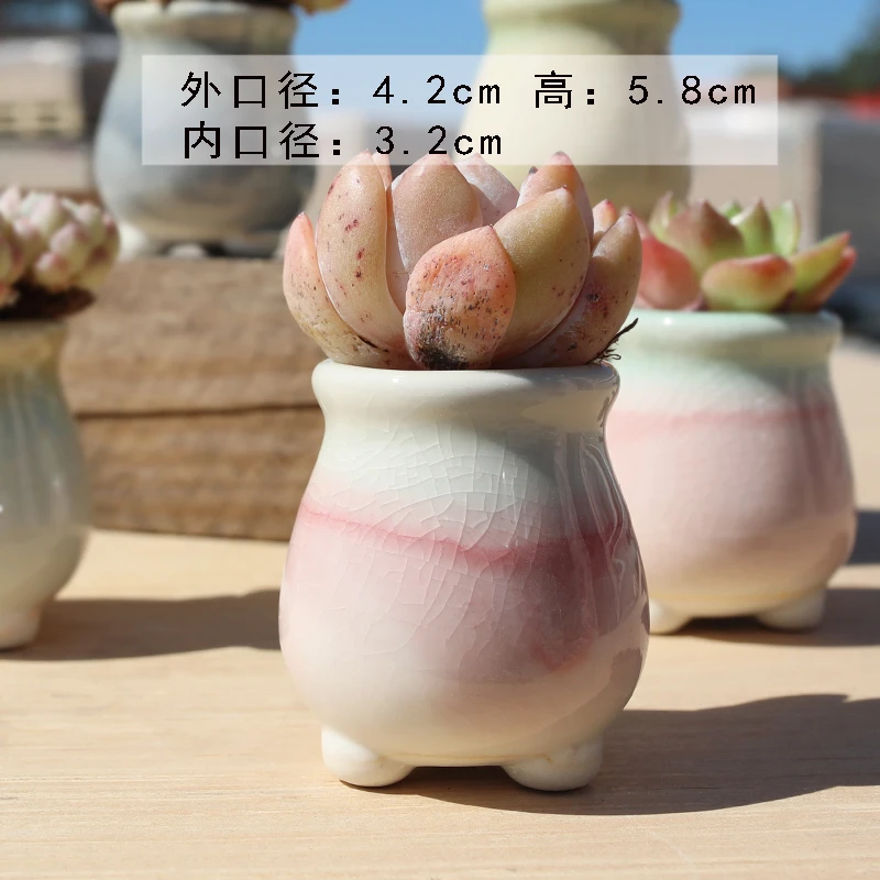 奶罐冰裂多肉植物花盆创意个性桌面可爱老桩流釉透气控型简约拇指