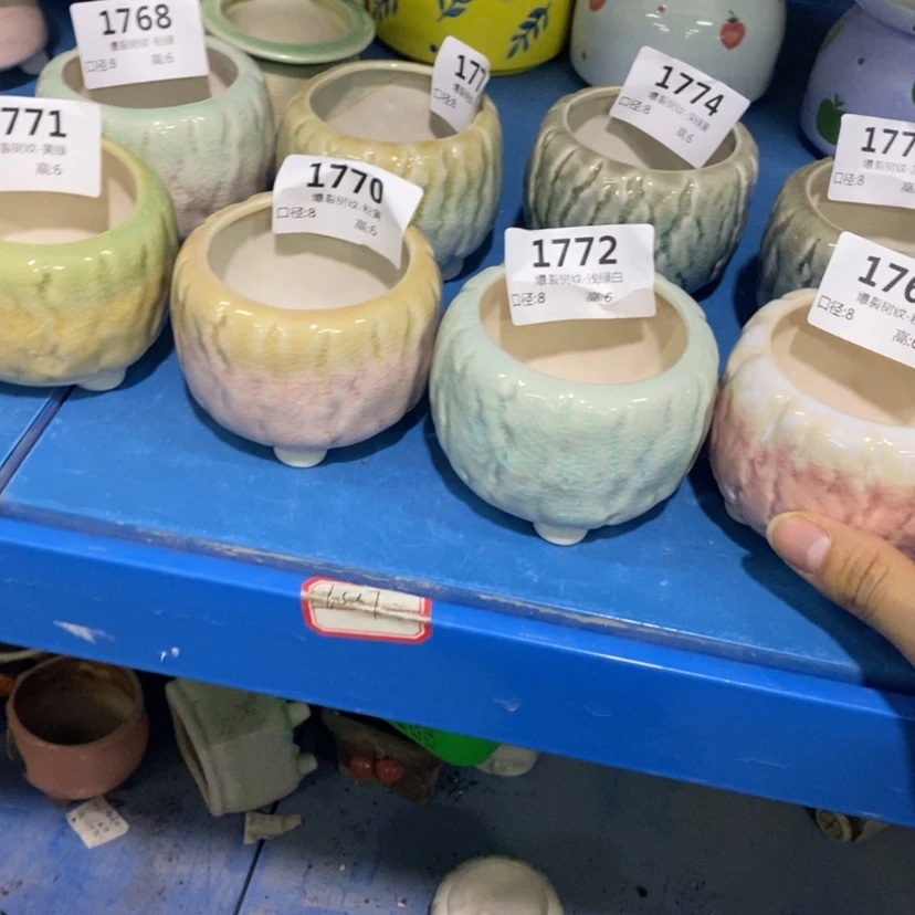 【闪购商品】红陶15cm以下随机6个