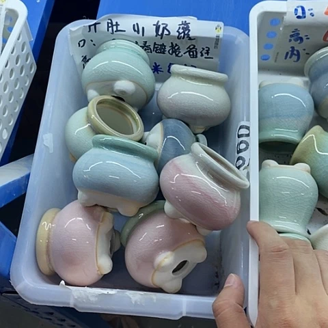 红陶20CM以下随机3个