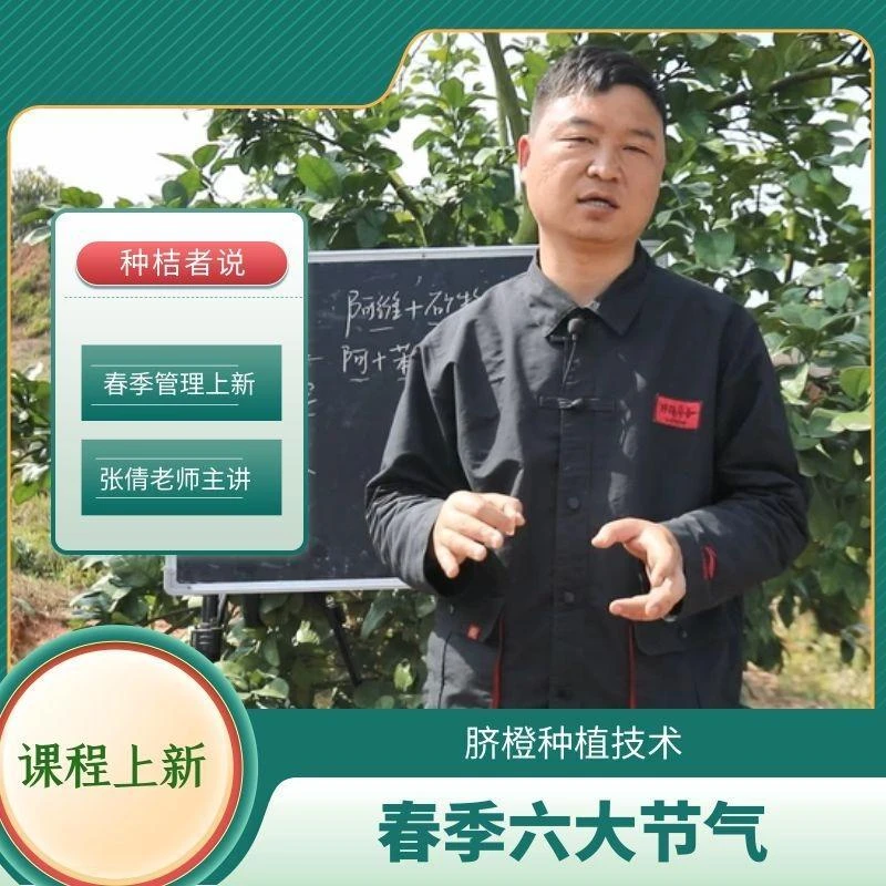 春季六大节气和柑橘种植技术管理