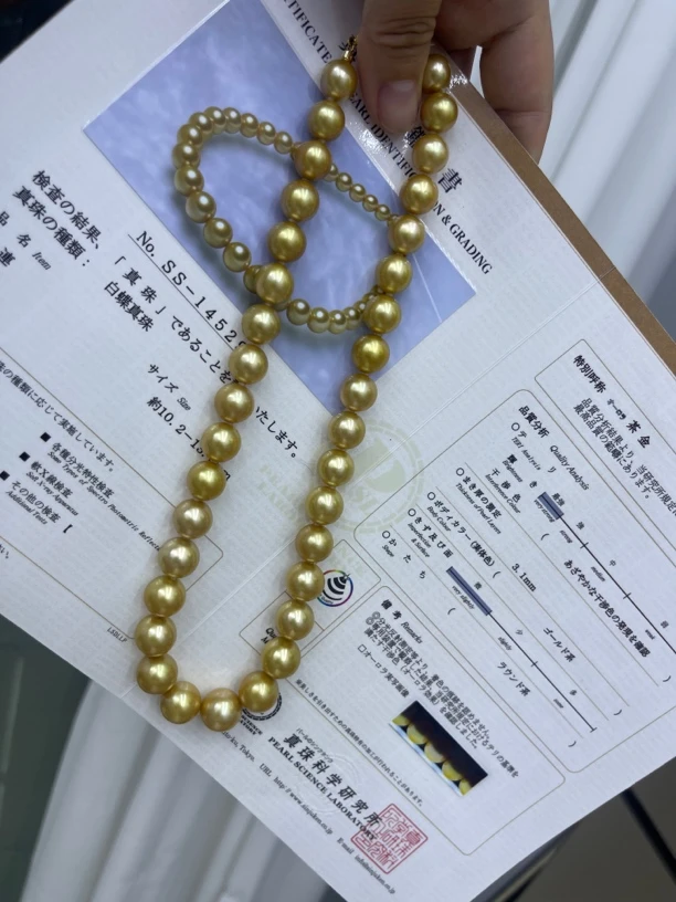 10.5-13.5mm真科研茶金项链