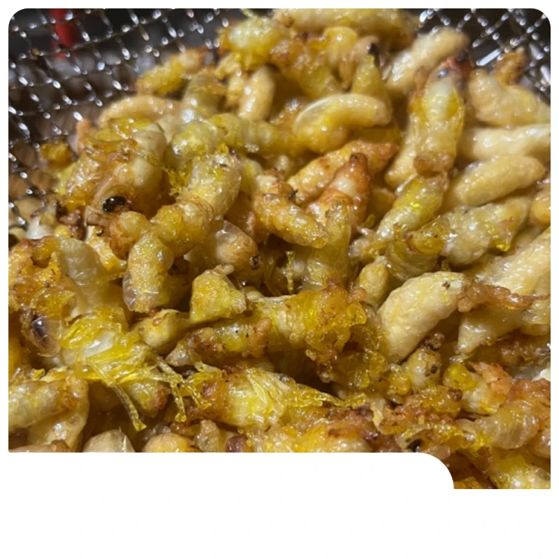 虎头蜂123级500g顺丰包邮蜂蛹出售马蜂直播