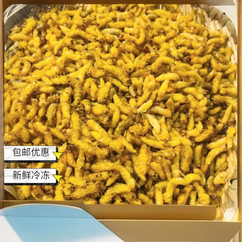 恩施七里黄脚123级500g包邮介意3级介意内脏得蜂蛹出售马蜂直播