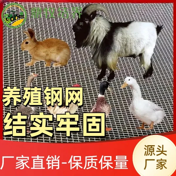 热镀锌钢丝养殖网编织网保育漏粪网猪床羊床方格铁丝网养殖场设备