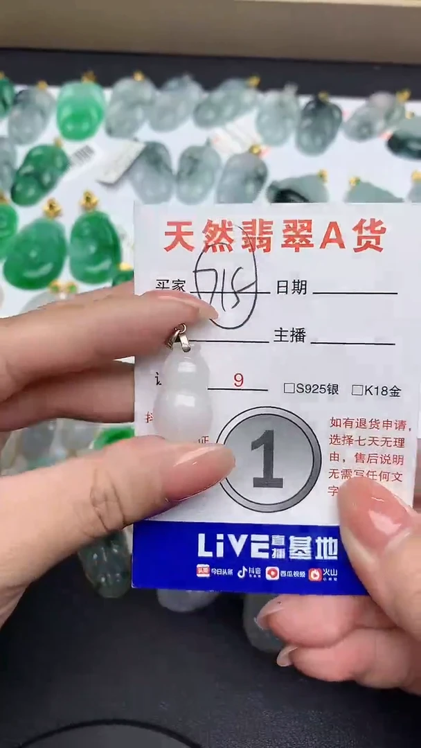 【闪购商品】翡翠颈饰银S925镶嵌1