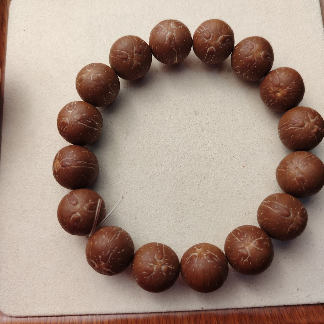 原生态原皮紫金鼠19mm前鼠后猫高货原皮紫金鼠