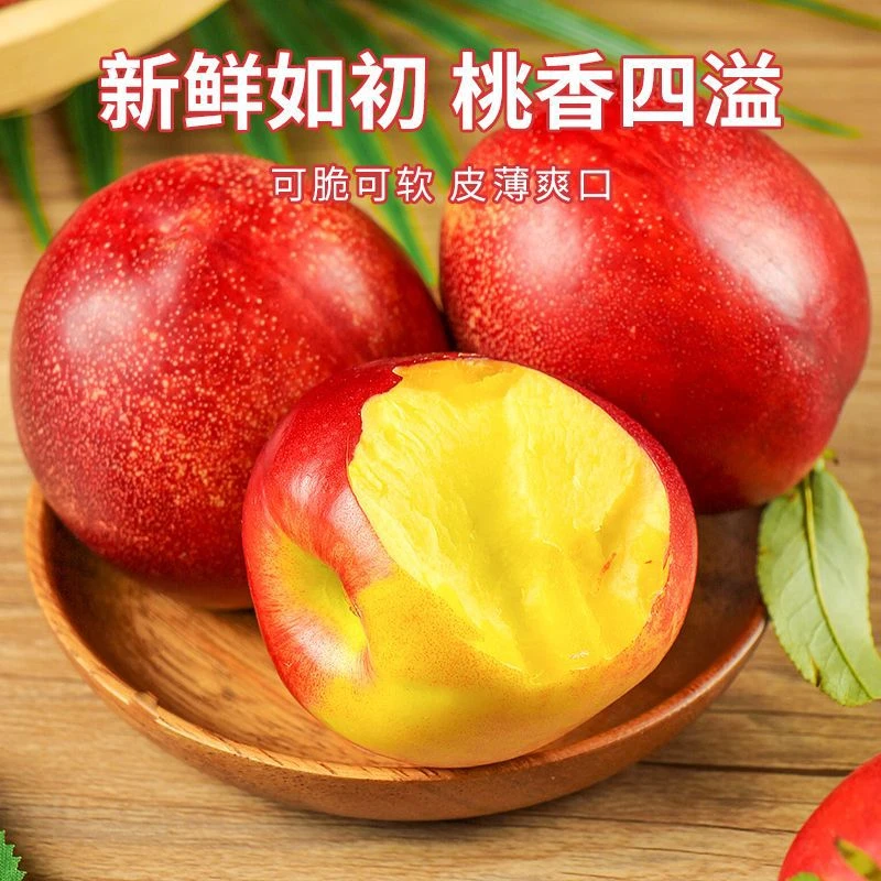 【助农乡村】黄心油桃新鲜水果脆甜多汁果园现摘现发带箱3斤 YQ
