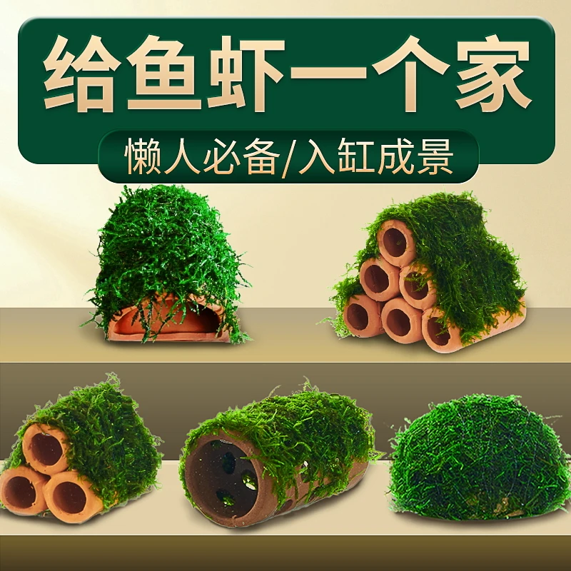 鱼缸造景莫斯水草真植物懒人摆件陶罐鱼虾水草鱼缸专用水草