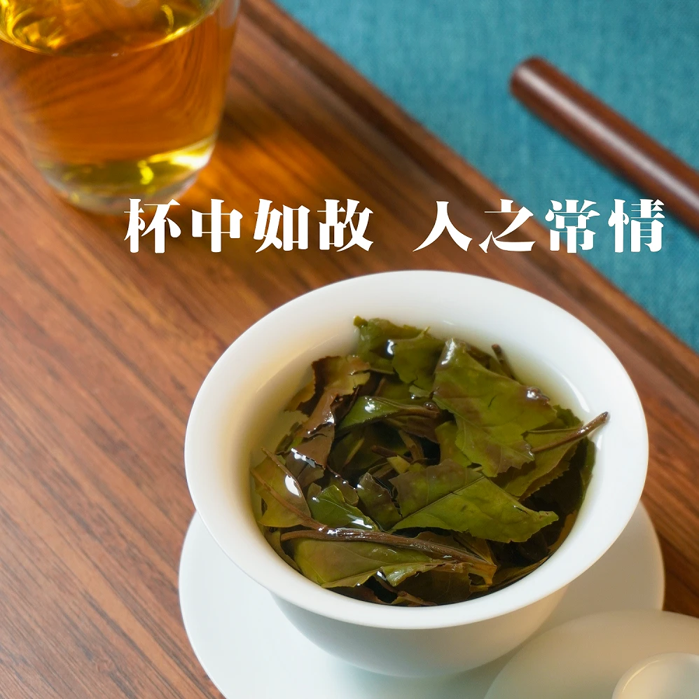 【江湖寿眉】福鼎白茶2020高山日晒秋寿眉香高水甜滋味醇厚好喝耐泡