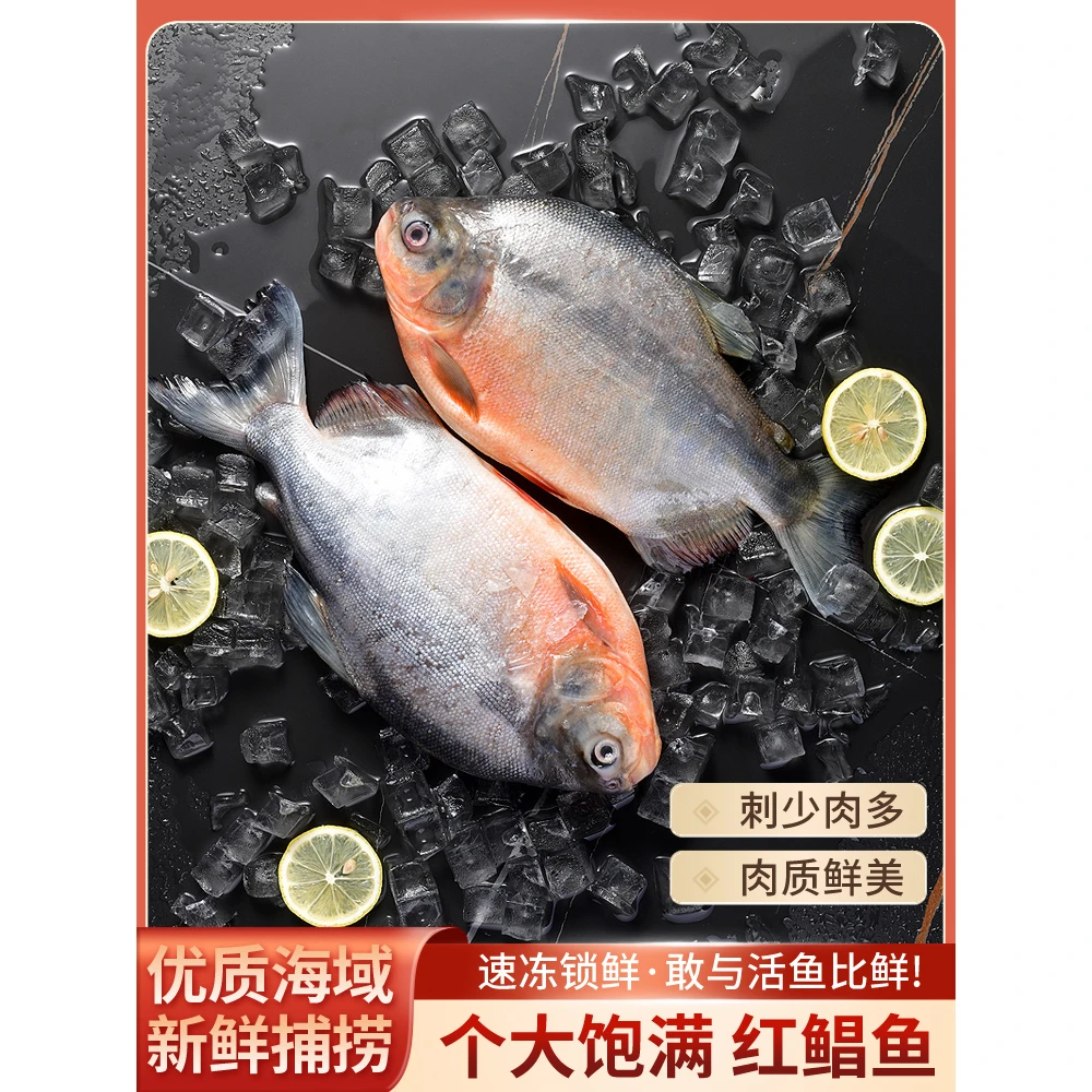 特大红鲳鱼新鲜海鱼冷冻腹鲜活金昌鱼平鱼金鲳银鲳鱼白鲳淡水
