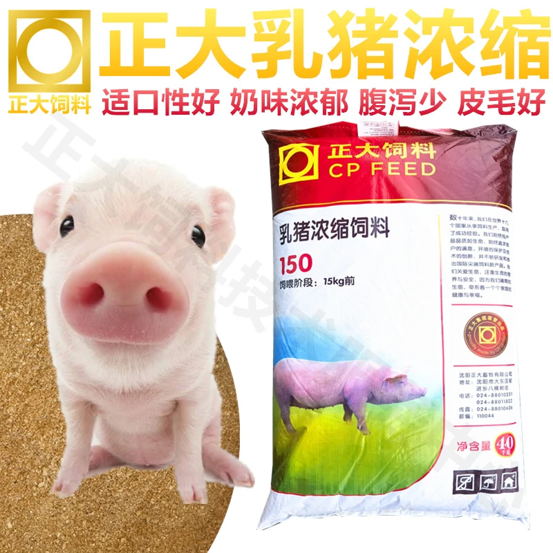 正大乳猪教槽浓缩饲料20斤-100斤断奶保育仔猪小猪浓缩料猪场包邮