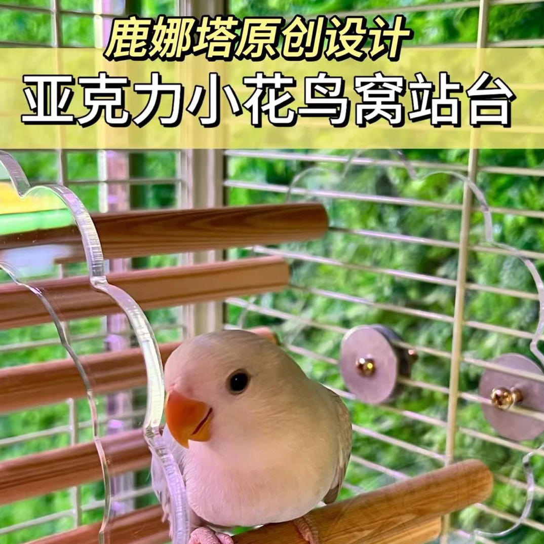 【鹿娜塔原创设计】亚克力鸟窝牡丹玄凤鹦鹉清凉鸟窝夏日鸟笼站架