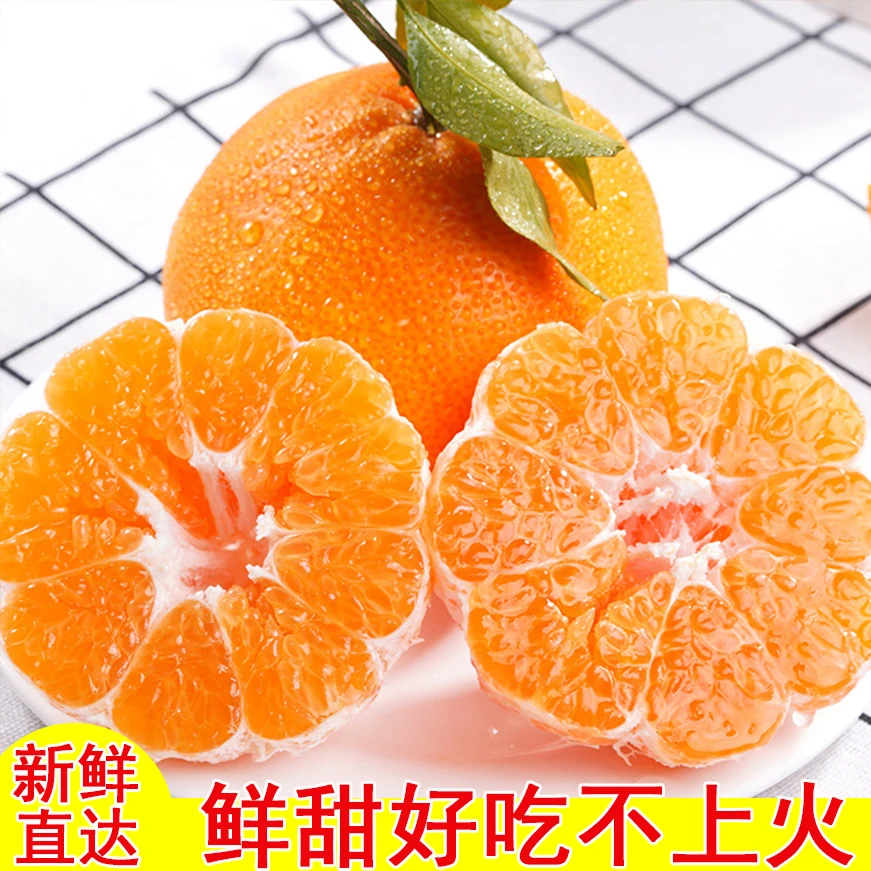 春见耙耙柑皮薄多汁果肉饱满果园基地直发新鲜水果清甜成熟发货