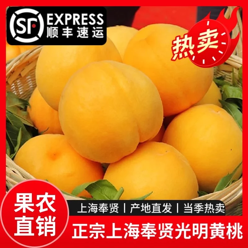 上海奉贤光明锦绣黄桃新鲜应当季水果蜜甜大桃子特产整箱顺丰包邮