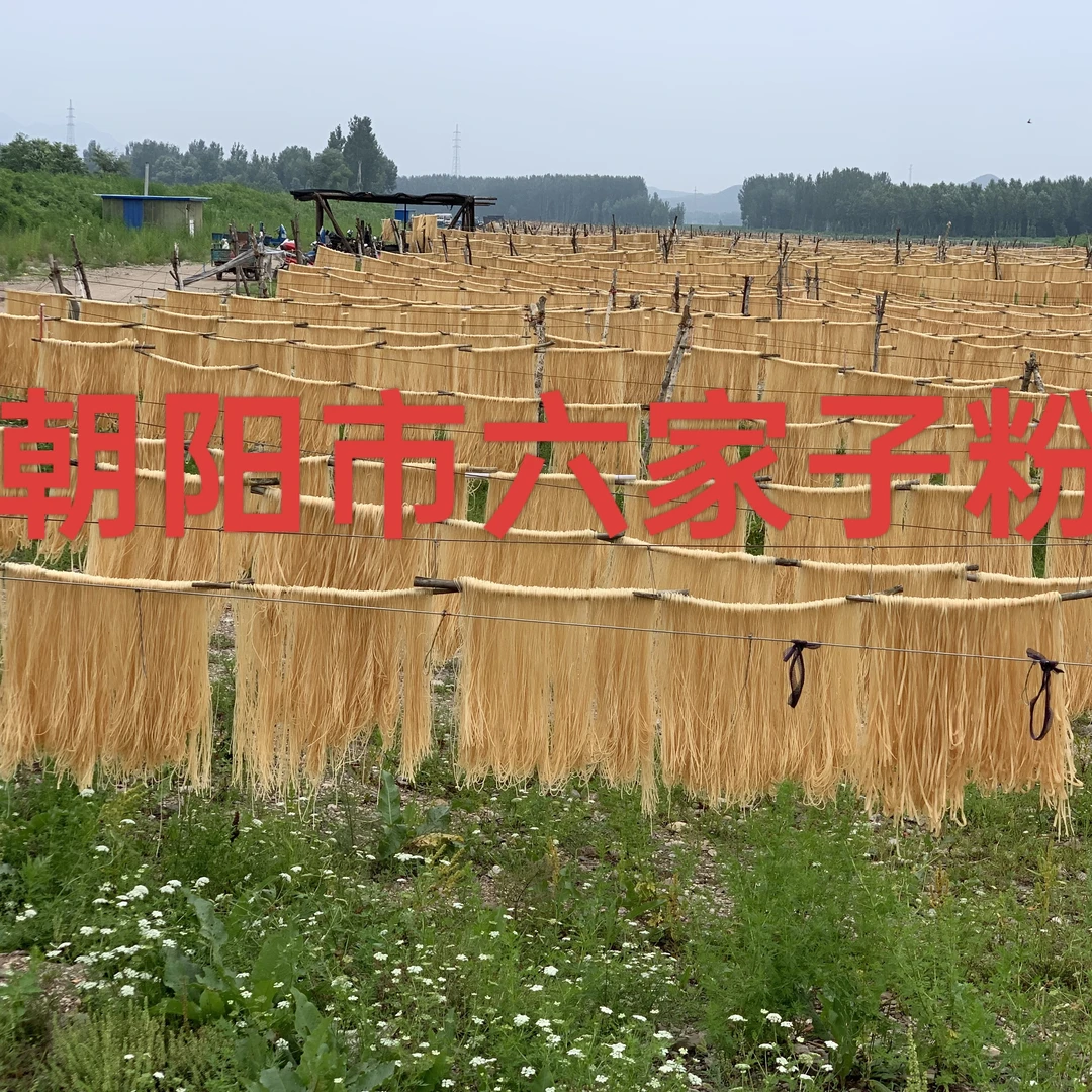 【龅牙妹专属】朝阳六家子手工粉条5斤宽细可选