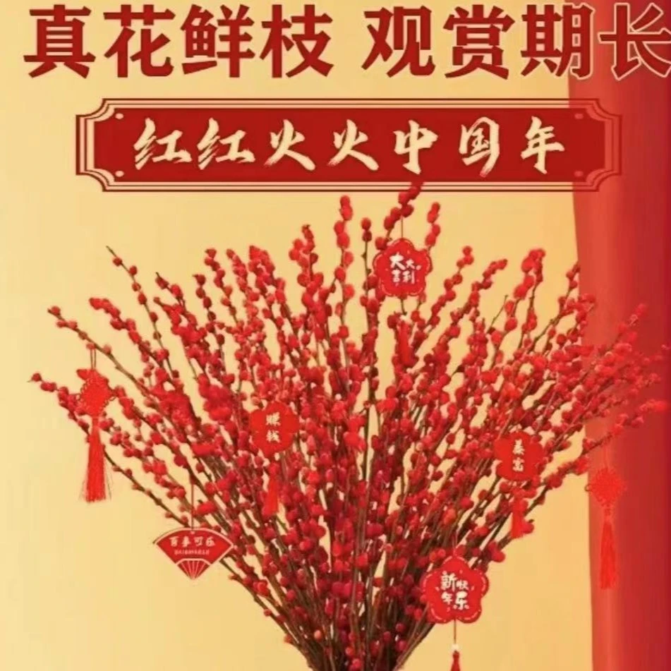 年宵桌面装饰花束室内绿植物银柳千花雪柳干枝【含瓶60cm】