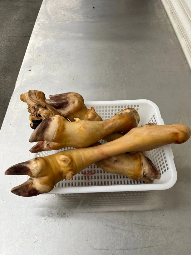 农家耕地土黄牛牛脚