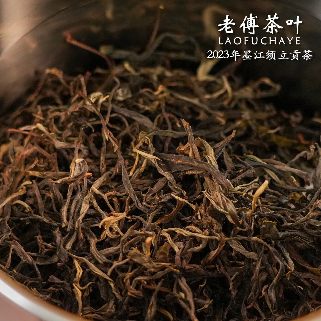 2023年 墨江凤凰窝·须立贡茶 头春头采 古树纯料 普洱生茶