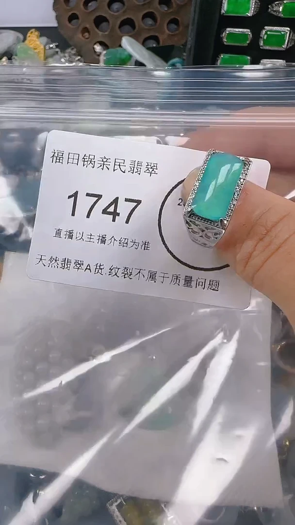 【闪购商品】翡翠颈饰未镶嵌1747.吊坠统一配皮绳