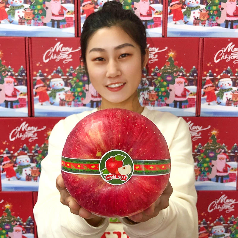 世界一号平安果圣诞果圣诞礼物平安夜超大苹果送礼1个
