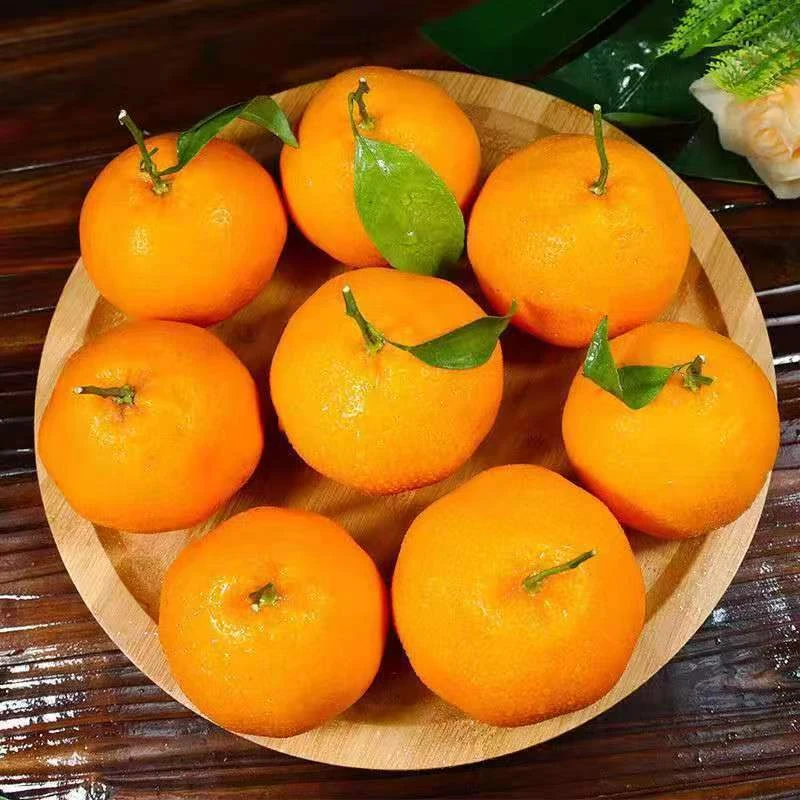 【福利】四川高山水果 春见耙耙柑新鲜采摘 带箱4.5斤装包邮