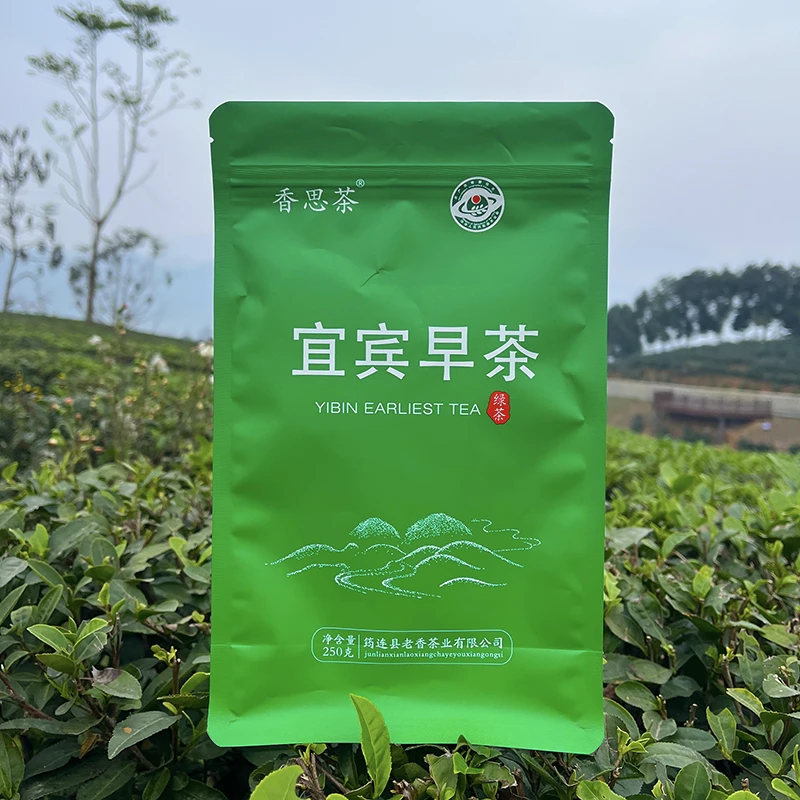 2025四川新茶老香茶业高山绿茶雀舌宜宾早茶A级