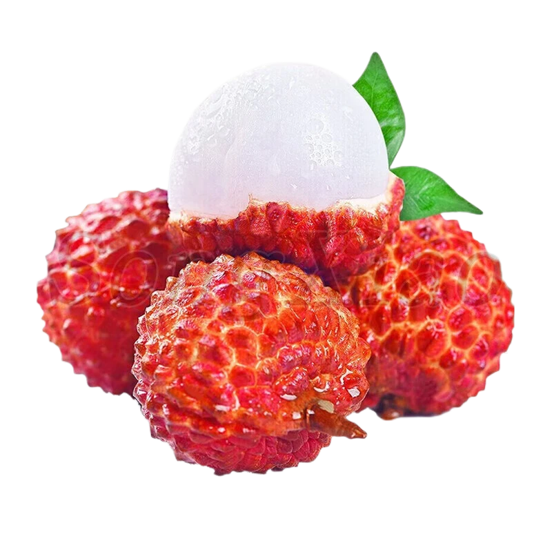 【新品】荔枝王约500g