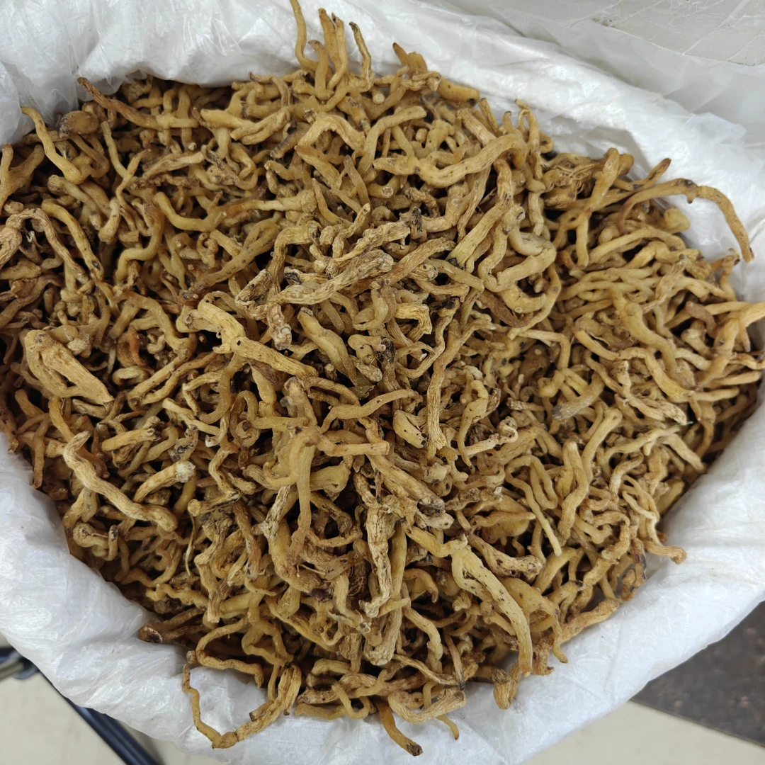 东北玉竹条500克山野初级农产品