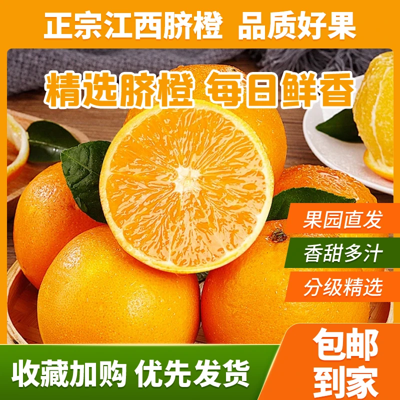 江西脐橙小果带箱5斤自然阳光充足-新鲜天然多汁-采摘种植