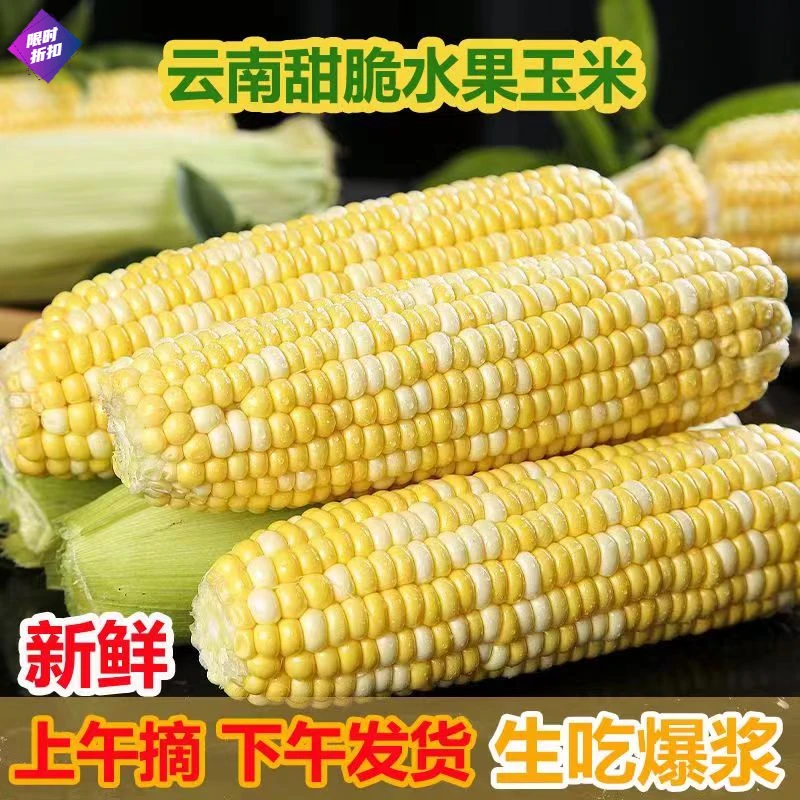 【甜脆爆浆】云南高原农家水果玉米 9/3/5斤装应季新鲜脆嫩非小香薯