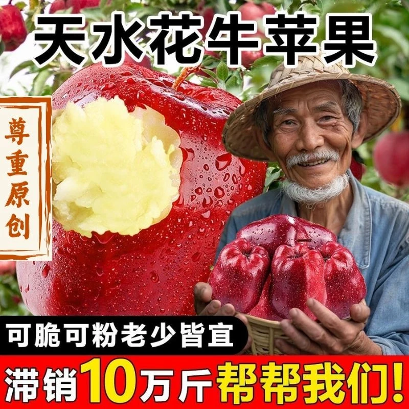 甘肃天水花牛苹果新鲜宝宝婴儿辅食粉面水果整箱应季