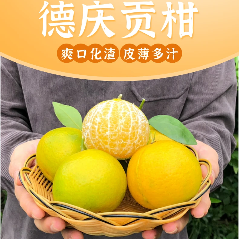 正宗广东德庆皇帝柑10斤礼盒装皮薄多汁现摘现发包邮