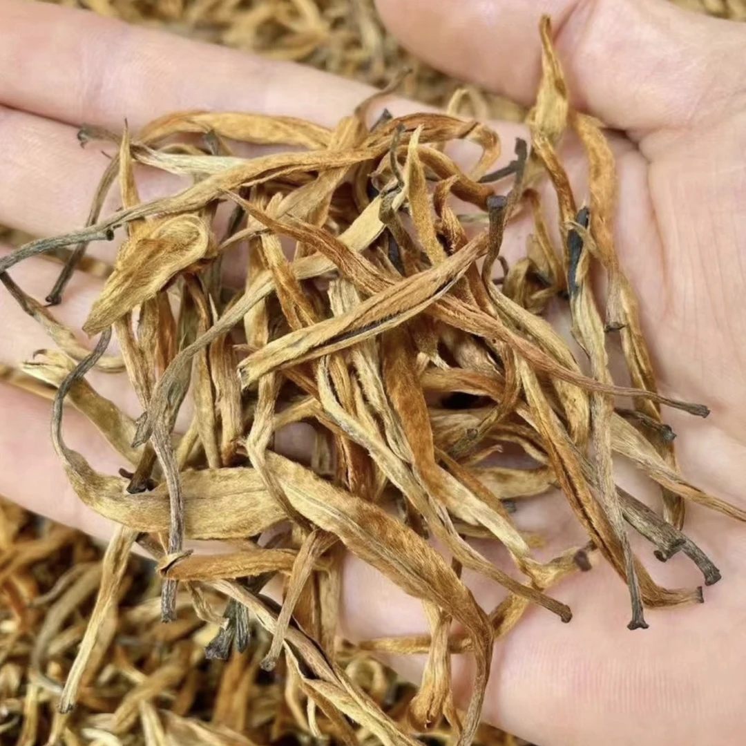 云南24年早春古树滇红《黄金芽》