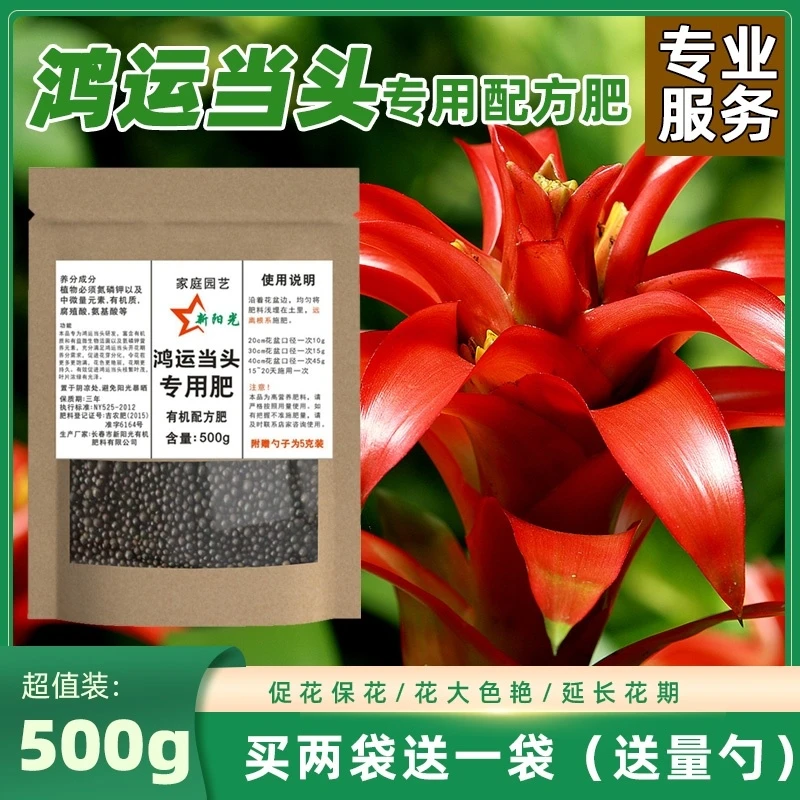 鸿运当头肥料专用肥凤梨花肥料植物室内阳台盆栽营养液有机颗粒肥