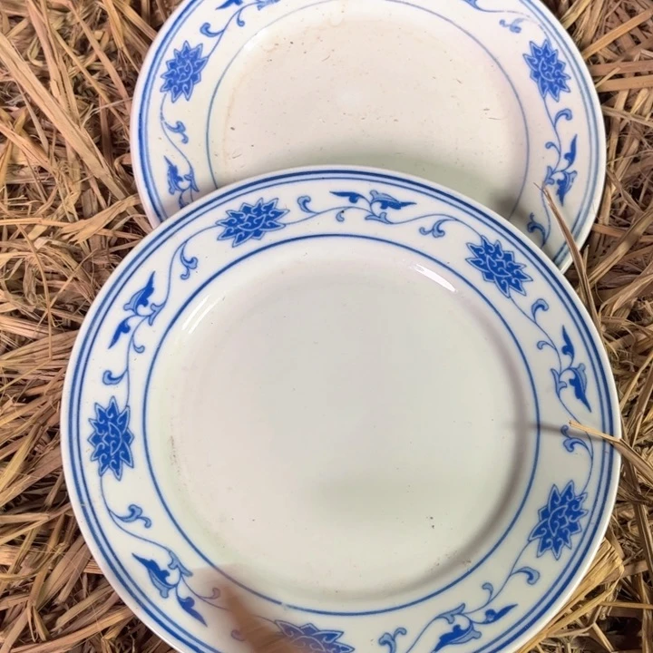 瓷片景德镇陶瓷两个盘子