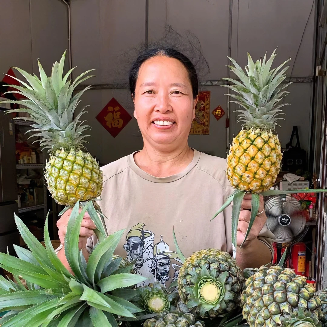 (广东省外10斤包邮）神湾正宗菠萝，清甜爽脆 净含量5000g食用