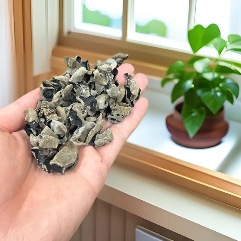 东北黑木耳中大朵肉厚 自然晾晒 不加工 不增重 新店福利