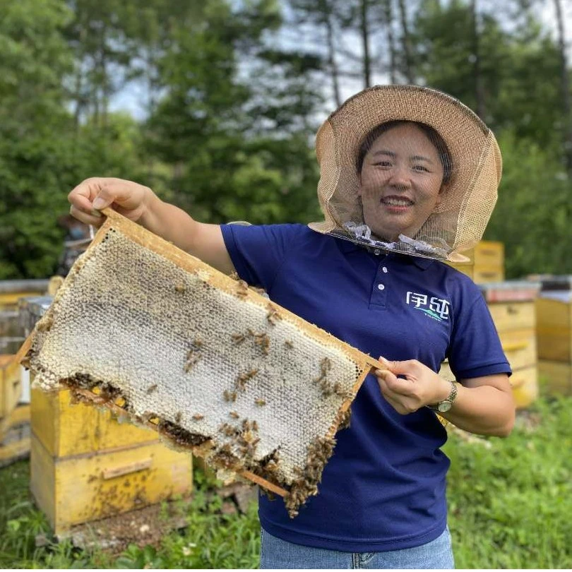 【刺五加蜜2023年新蜜】口味偏苦/天然美味森林原蜜500g波美度＞42度