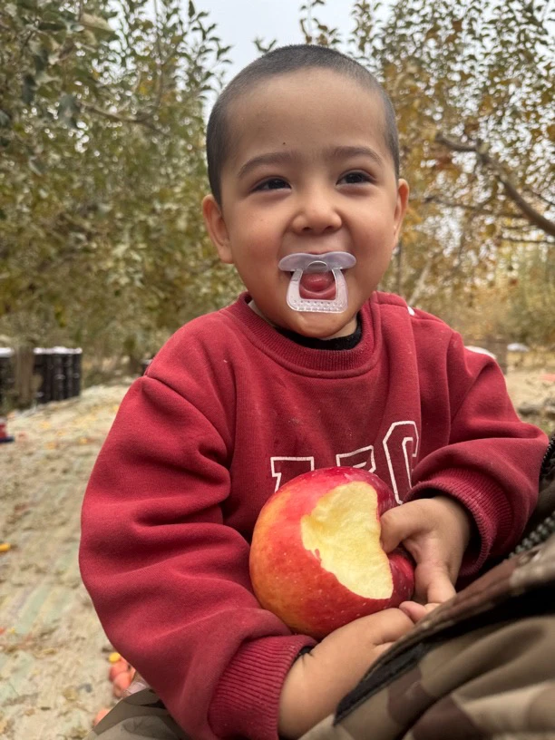 新疆阿克苏红富士脆甜多汁新鲜苹果10斤