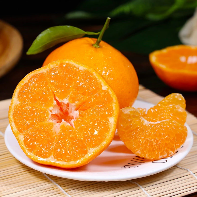 【酱式宇宙】正宗四川春见耙耙柑4.5斤装新鲜应季丑橘香甜皮薄多汁