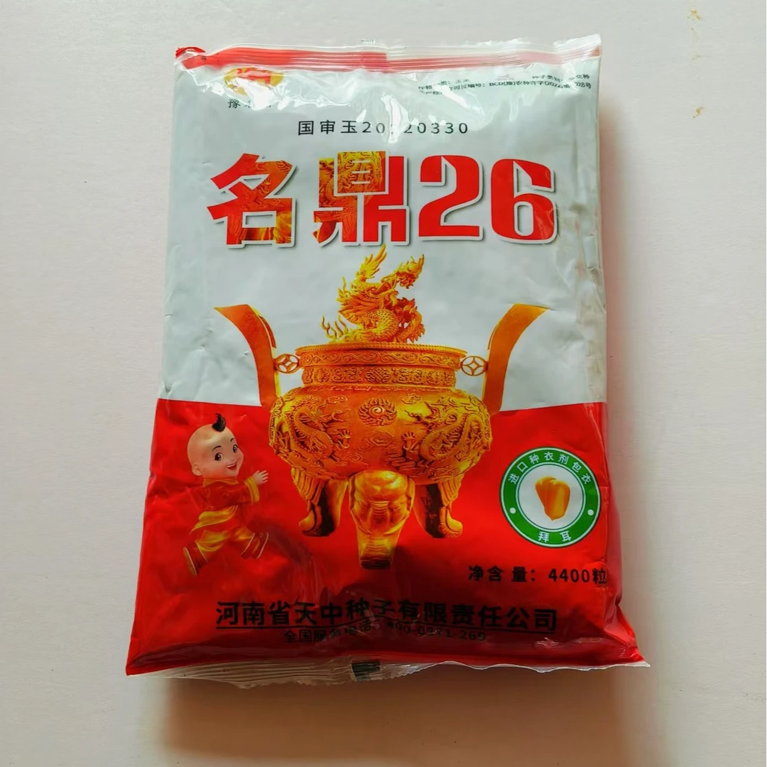 名鼎26 高抗锈高抗倒更高产玉米种