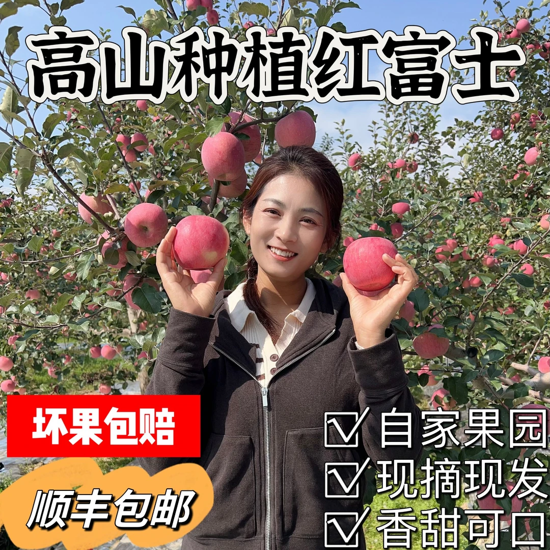 【顺丰包邮】甘肃红富士果园直发脆甜多汁亲自采摘自家果园自然成熟
