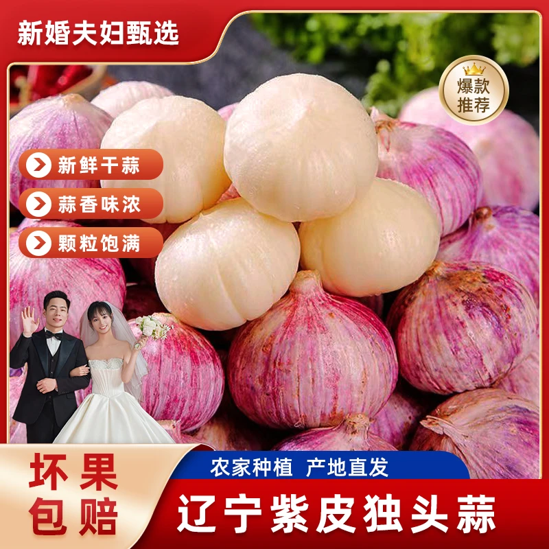 辽宁干蒜正宗紫皮独头蒜新鲜紫皮大蒜头大蒜独头蒜1斤3斤5斤干蒜
