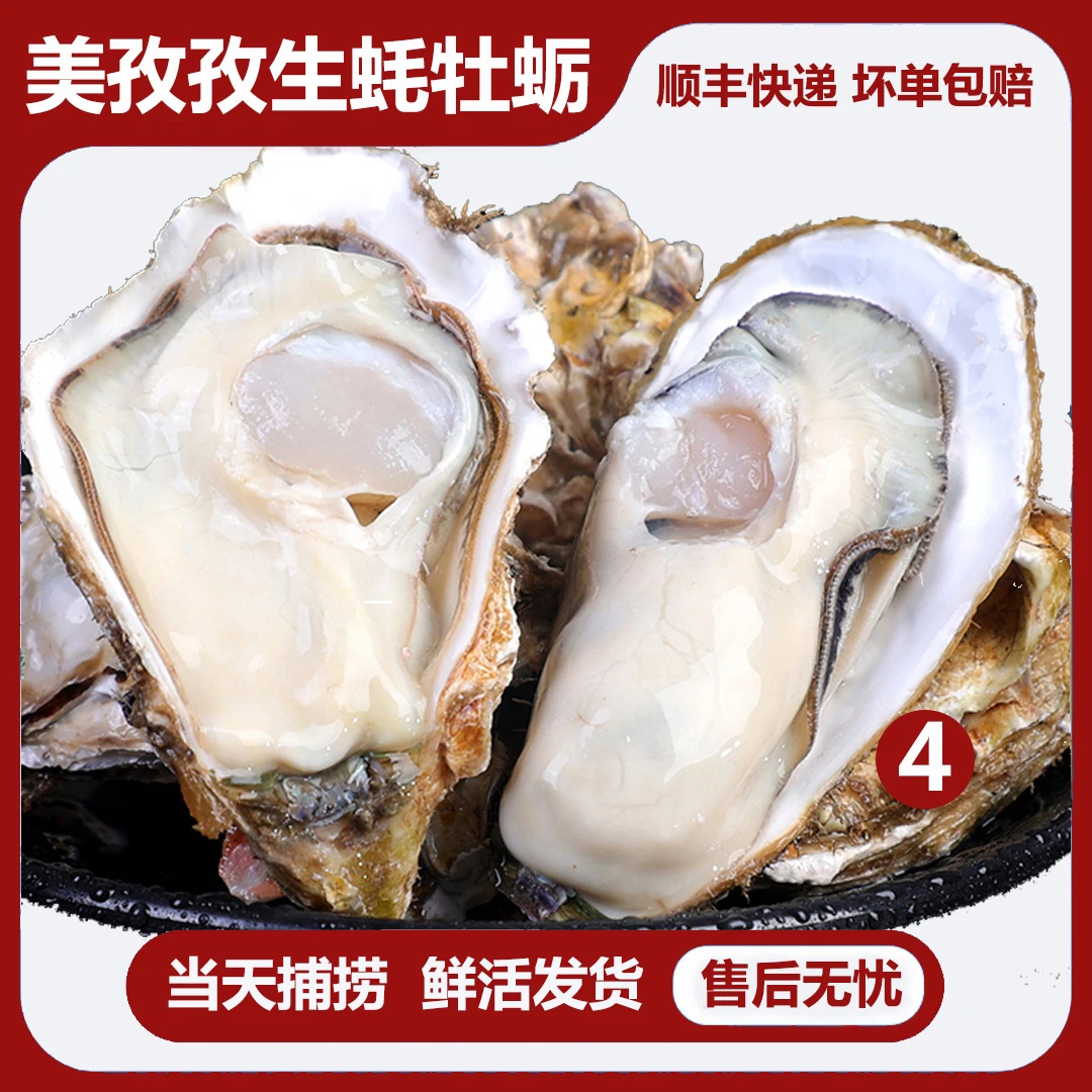 【大大号】连云港发货生蚝当天捕捞鲜活发货【4-5两】顺丰包邮食用肥