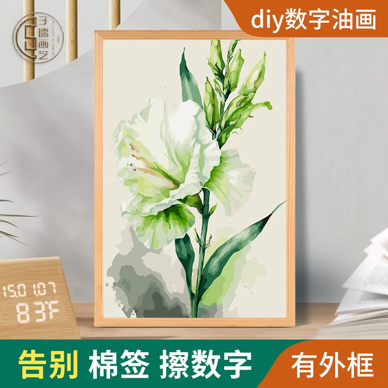 diy数字油画剑兰手工手绘简约减压治愈丙烯画填色填充数码装饰画