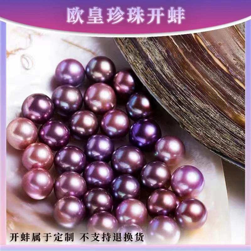 【妖王单株】  二十个珍珠开蚌 爱迪生单珠蚌