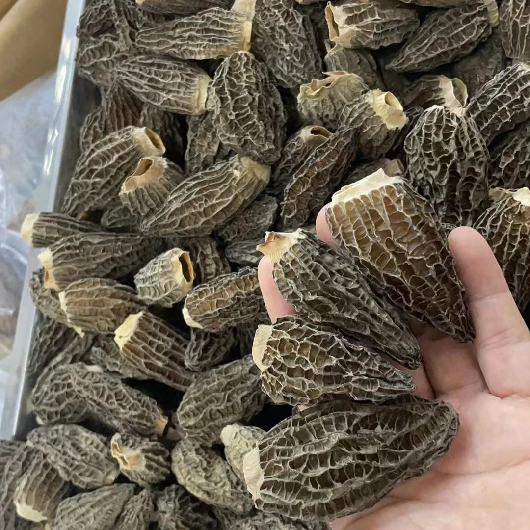 8云南【新货】全剪柄头茬肉厚羊肚菌干货煲汤食材