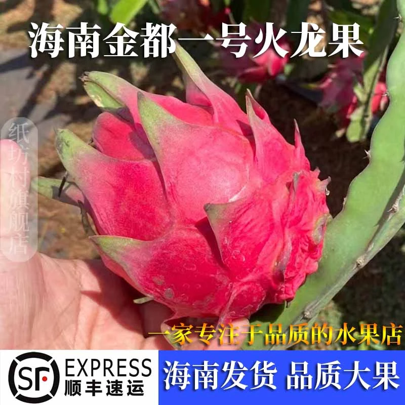 海南金都一号密宝红心火龙果新鲜现摘品质特大果鲜甜皮薄顺丰发货