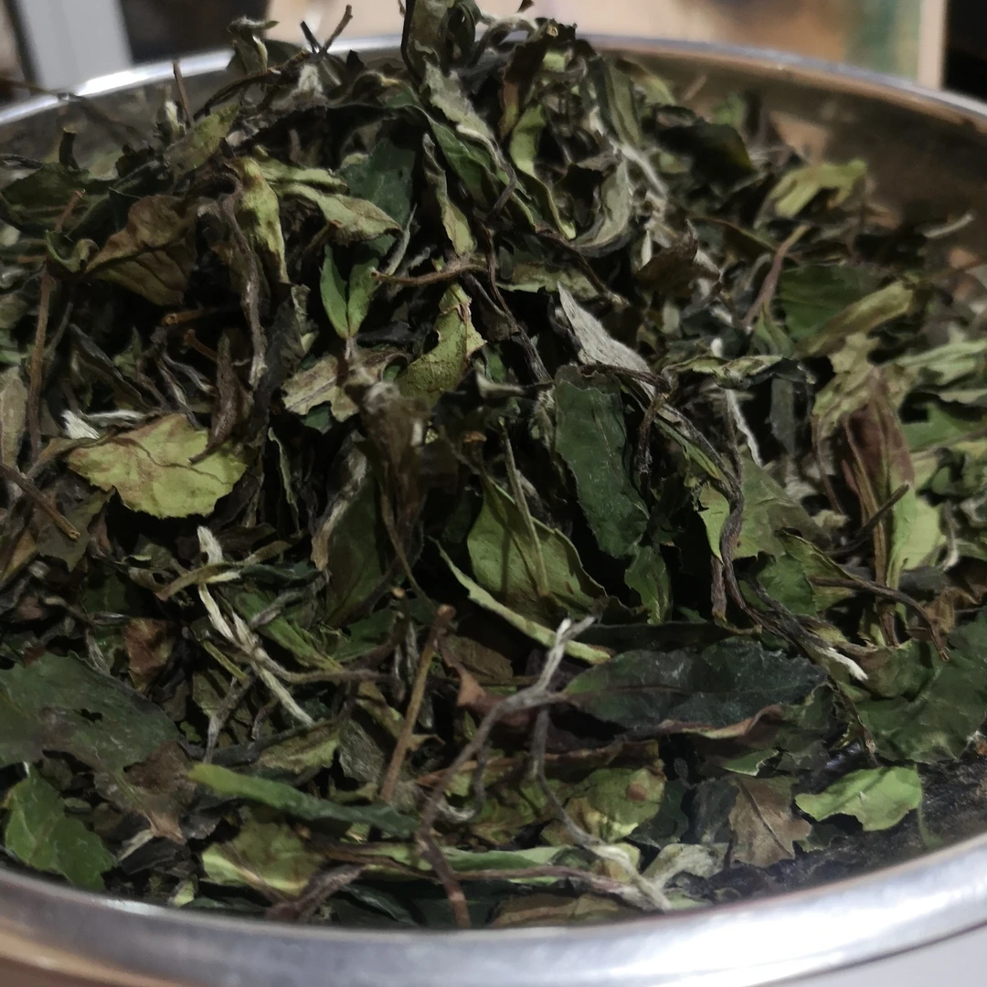 柒杯缘福鼎白茶2024年春寿眉高山白茶香甜柔润淡淡的蔗糖甜500克