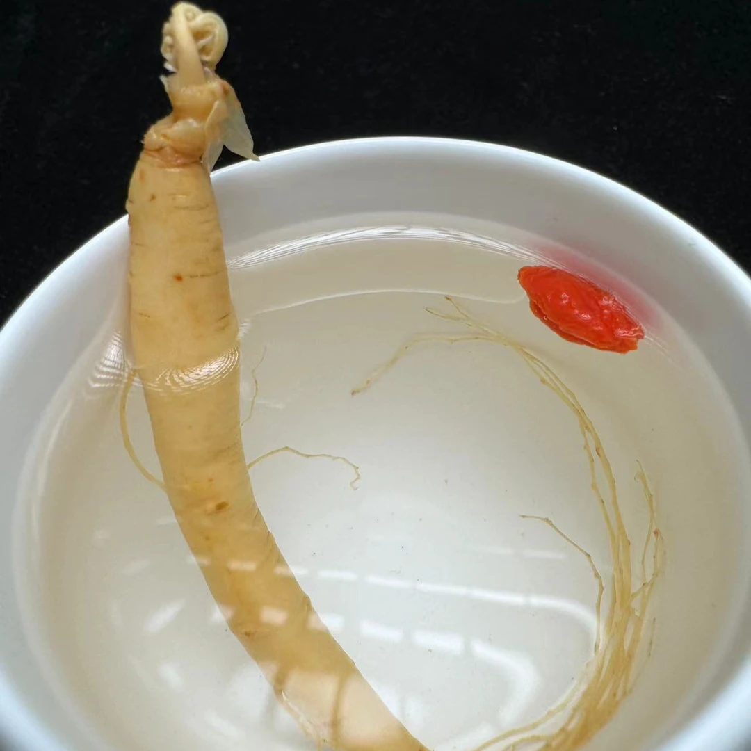 「20根保鲜人参」长白山鲜人参单支5-8克 泡水 煲汤 试吃尝鲜 参采